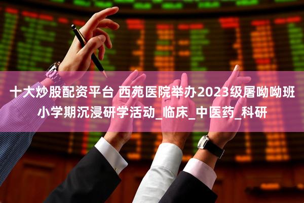 十大炒股配资平台 西苑医院举办2023级屠呦呦班小学期沉浸研学活动_临床_中医药_科研